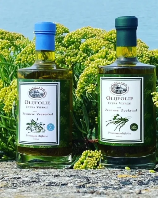 olijflie zeekraal en zeevenkel.webp