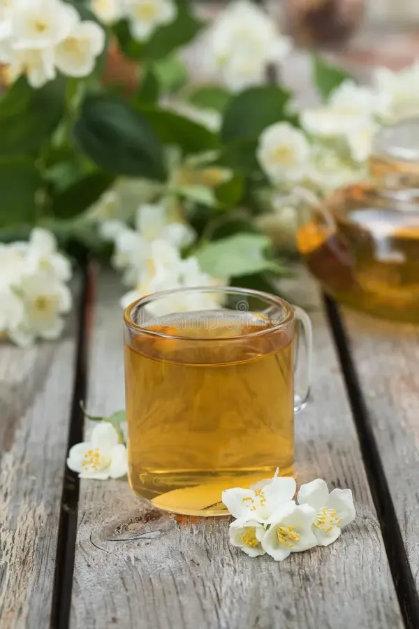 green-chinese-tea-jasmine-mug-jasmine-flowers-green-chinese-tea-jasmine-mug-jasmine-flowers-229741419.webp
