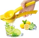 OIP (24).webp