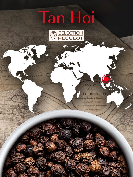 Black Pepper from Vietnam That Leaves an Incisive Burst of Heat in the Mouth. Ideal for Accompanying Red Meat, Oily Fish, Hearty Vegetables and Earthy
